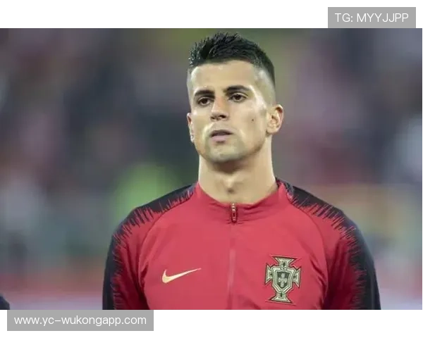 坎塞洛近期表现与纪律问题解析