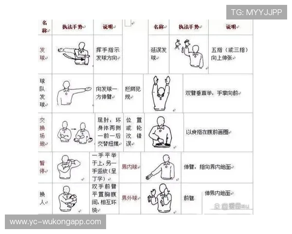 肘部动作在犯规判罚中如何界定标准和争议点解析